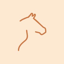 Tierarzt Pferde